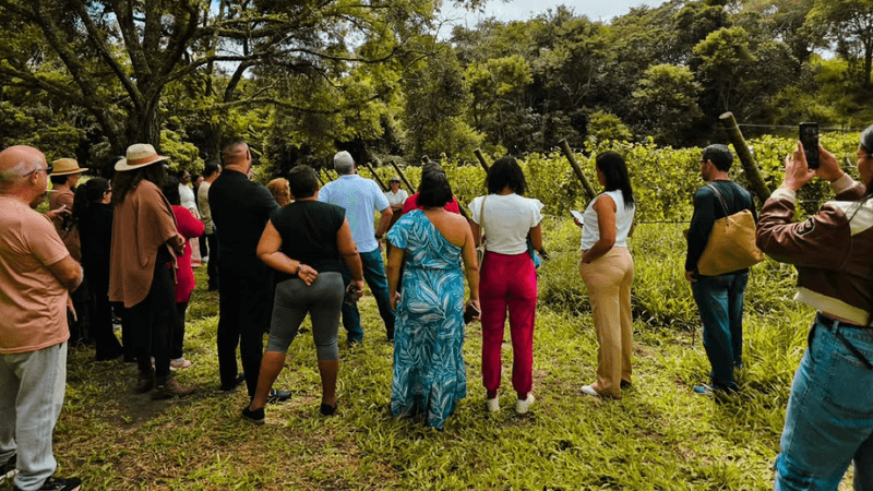 Fortalecimento do turismo e valorização das potencialidades de Barra do Choça